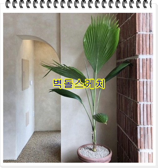네모벽돌